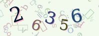 Visual Confirmation Security Code