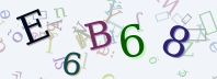 Visual Confirmation Security Code