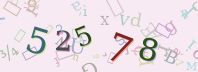 Visual Confirmation Security Code
