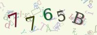 Visual Confirmation Security Code