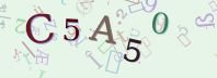 Visual Confirmation Security Code