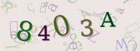 Visual Confirmation Security Code