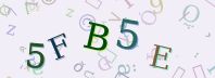 Visual Confirmation Security Code