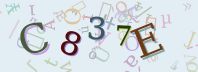 Visual Confirmation Security Code
