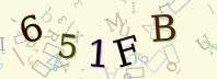 Visual Confirmation Security Code