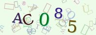 Visual Confirmation Security Code