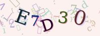 Visual Confirmation Security Code