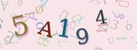 Visual Confirmation Security Code