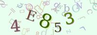 Visual Confirmation Security Code
