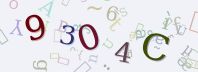 Visual Confirmation Security Code