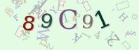 Visual Confirmation Security Code