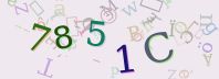 Visual Confirmation Security Code