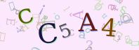 Visual Confirmation Security Code
