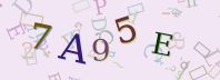 Visual Confirmation Security Code