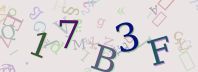 Visual Confirmation Security Code