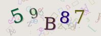 Visual Confirmation Security Code