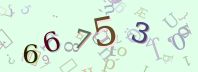 Visual Confirmation Security Code