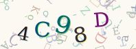 Visual Confirmation Security Code