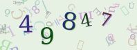 Visual Confirmation Security Code