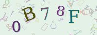 Visual Confirmation Security Code