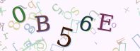 Visual Confirmation Security Code