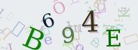 Visual Confirmation Security Code