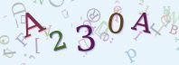 Visual Confirmation Security Code