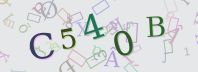 Visual Confirmation Security Code