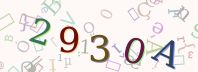 Visual Confirmation Security Code