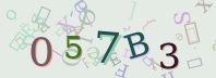 Visual Confirmation Security Code