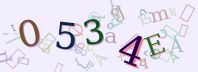 Visual Confirmation Security Code