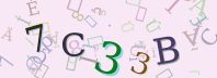 Visual Confirmation Security Code