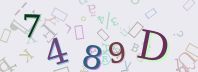 Visual Confirmation Security Code