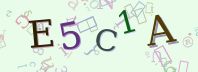 Visual Confirmation Security Code