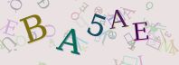 Visual Confirmation Security Code