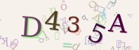 Visual Confirmation Security Code