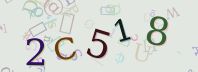 Visual Confirmation Security Code