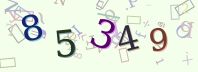 Visual Confirmation Security Code