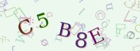Visual Confirmation Security Code