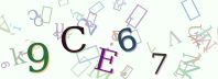 Visual Confirmation Security Code