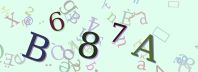 Visual Confirmation Security Code