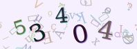 Visual Confirmation Security Code