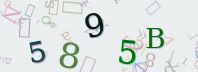 Visual Confirmation Security Code