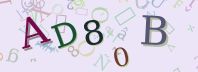 Visual Confirmation Security Code
