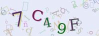 Visual Confirmation Security Code