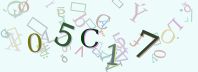 Visual Confirmation Security Code
