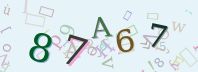 Visual Confirmation Security Code