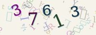 Visual Confirmation Security Code