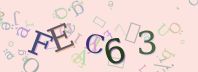 Visual Confirmation Security Code