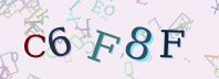 Visual Confirmation Security Code